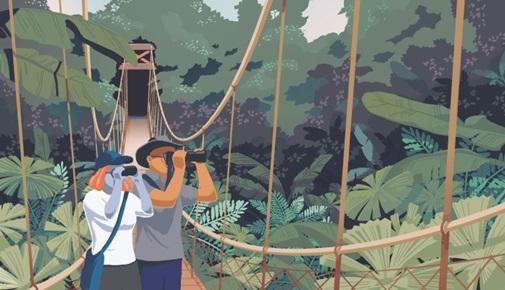 Illustration d'un couple sur un pont à baldaquin dans une forêt tropicale du Costa Rica à l'aide de jumelles pour voir.